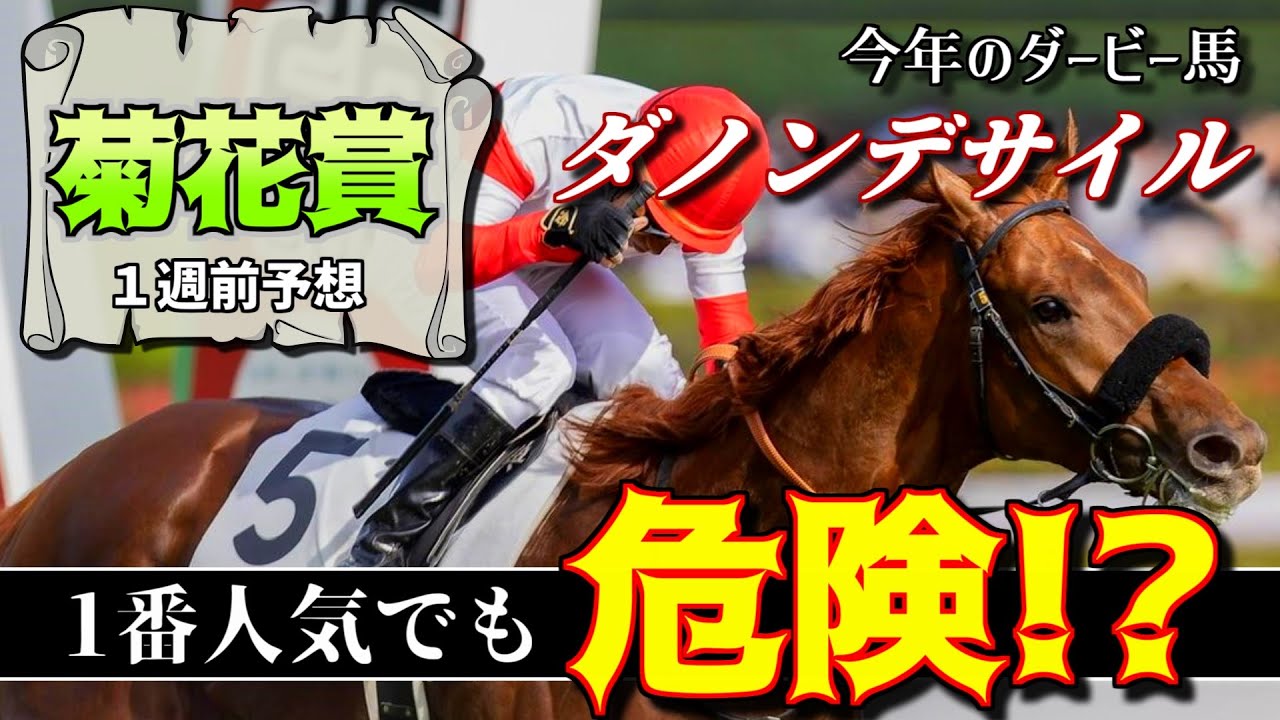 【菊花賞2024】ダノンデサイルは危険な人気馬！？アーバンシック,コスモキュランダ,ヘデントールは長距離でねらえる馬？調教,枠順,騎手,前走,過去データまとめ。今年の注目馬,穴馬候補を紹介。