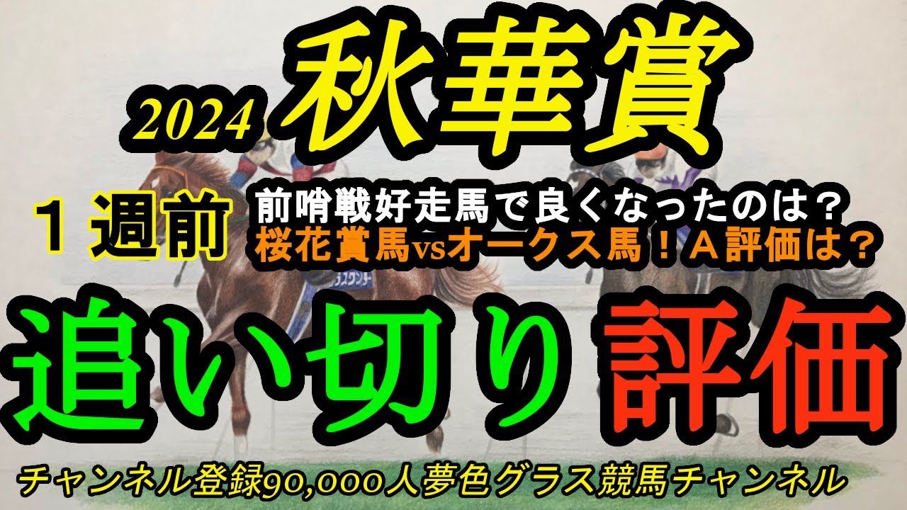 【1週前追い切り評価】2024秋華賞！チェルヴィニアvsステレンボッシュ！良く見えるのはどちら？そして前哨戦から上昇の穴馬は？
