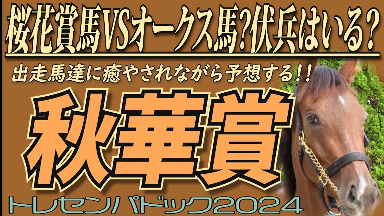 《秋華賞2024》桜花賞馬VSオークス馬一択？伏兵はいるのか？「トレセンでの馬の状態を確認！！ 競馬予想に役立つ！？癒やされる！？/  出走馬　トレセンパドック2024