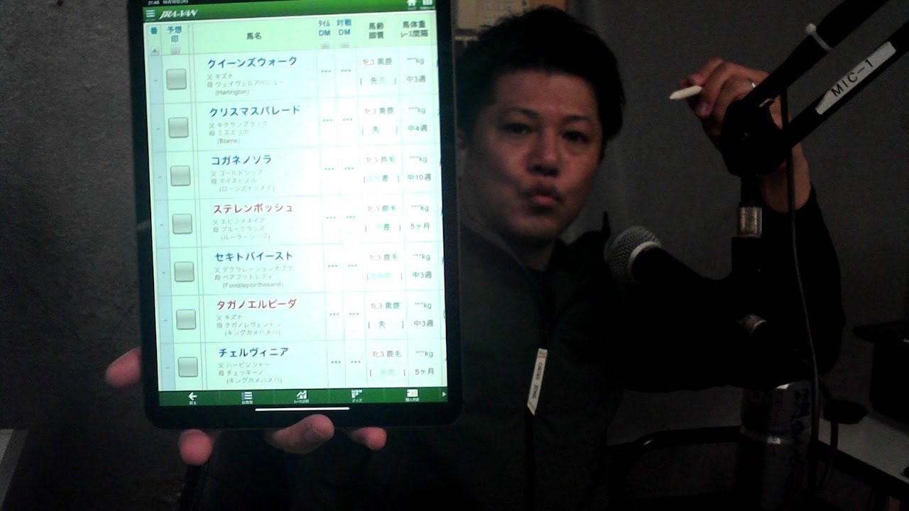 【秋華賞2024】今年も当てます！桜花賞馬・オークス馬のワンツー無しと予想。アネノモネ　第190モネっす。