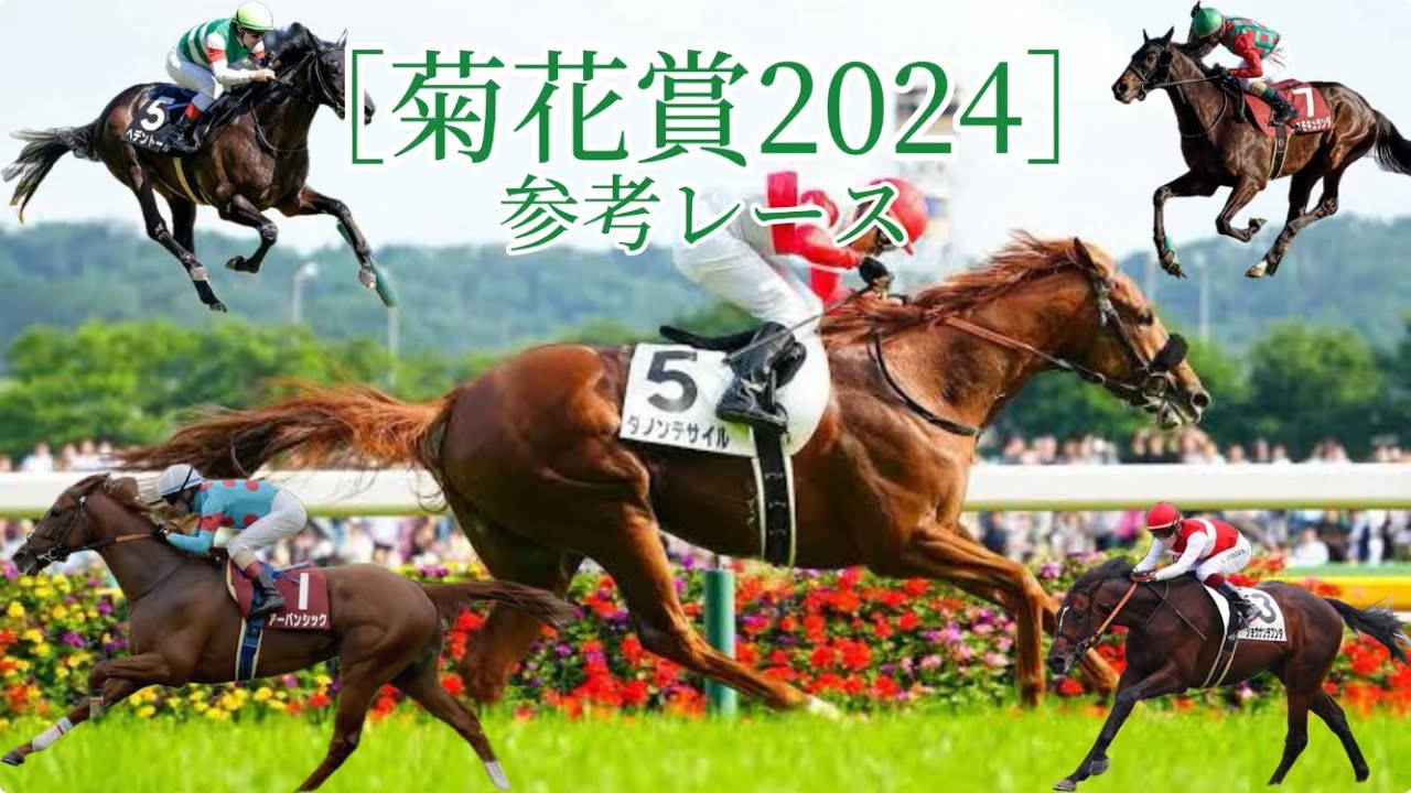 菊花賞2024参考レース
