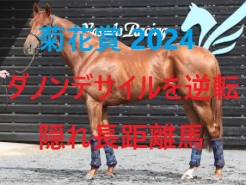 菊花賞2024 ダノンデサイルを逆転する史上最高レベルの上がり馬