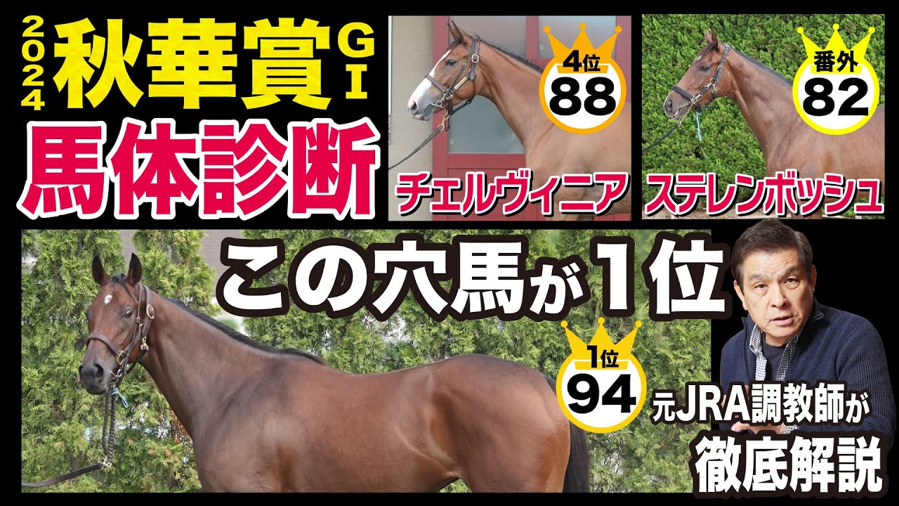 【秋華賞2024】中村均元調教師が馬体診断ベスト５を発表！人気馬は下位…１位は好馬体の穴馬《東スポ競馬ニュース》