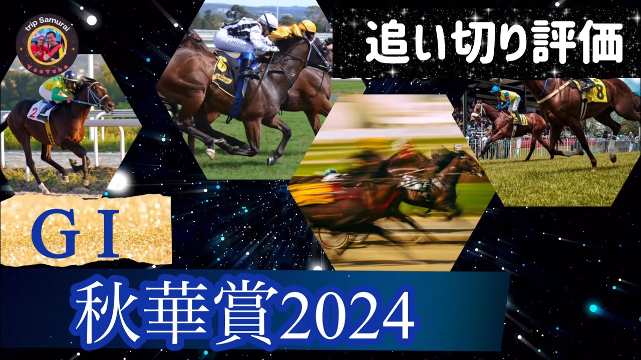 🎯 秋華賞2024 | 追い切り評価