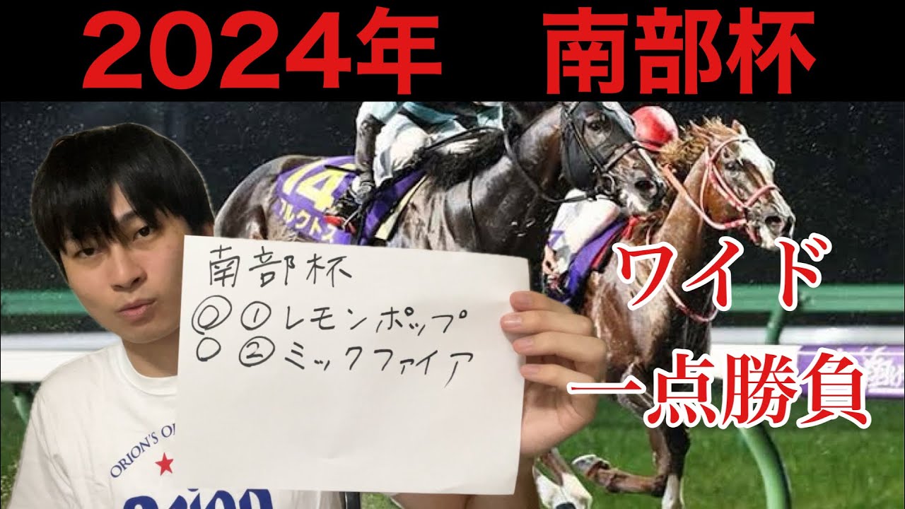【競馬予想】マイルチャンピオンシップ南部杯 2024年