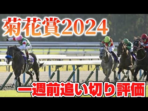菊花賞2024 一週前追い切り評価