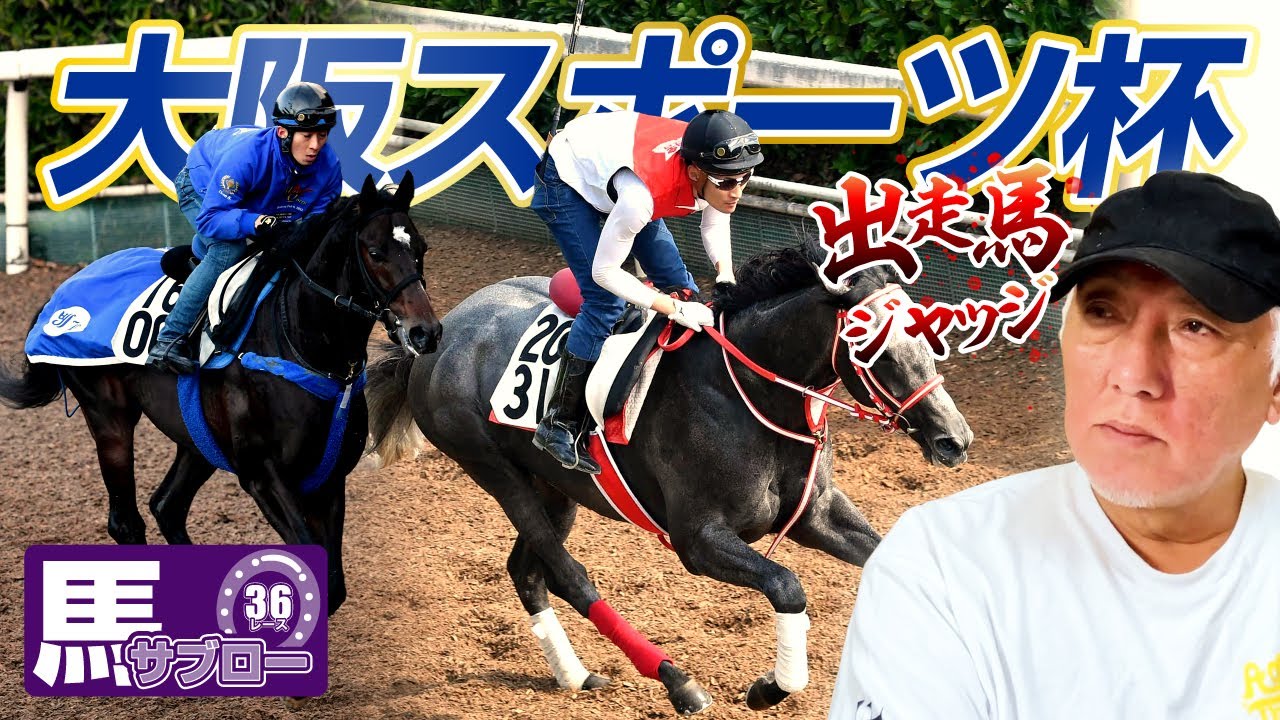 【大阪スポーツ杯】出走馬ジャッジ