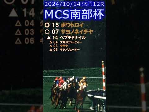 マイルチャンピオンシップ南部杯予想（2024年10月14日盛岡12R）