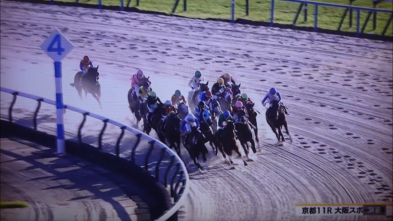 2024/10/12京都11R 大阪スポーツ杯(3歳上OP・ダ1800M)