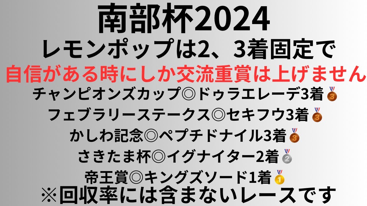【マイルCS南部杯2024】予想動画 レモンポップは2、3着固定で。自信がある時にしか交流重賞は上げません。