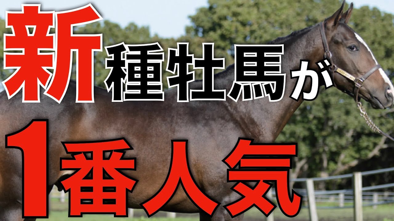 加熱するダートトレンド！JBBAの1番人気はあの新種牡馬。