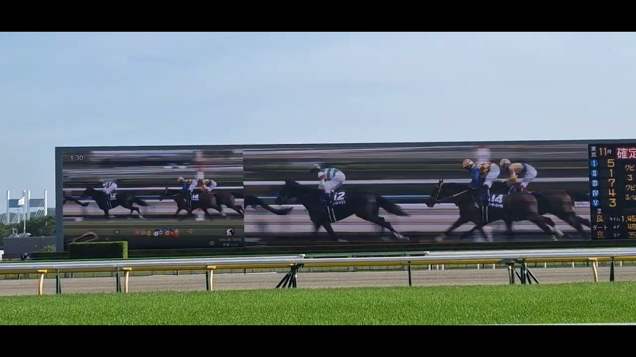 2024/4/28 天皇賞(春) in 東京競馬場