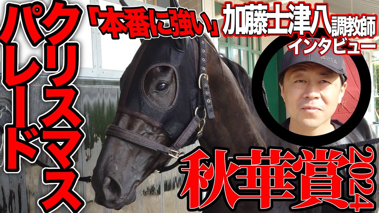 【秋華賞2024】クリスマスパレード•加藤士津八調教師インタビュー「改めてすごい馬だなと思っています」《東スポ競馬》