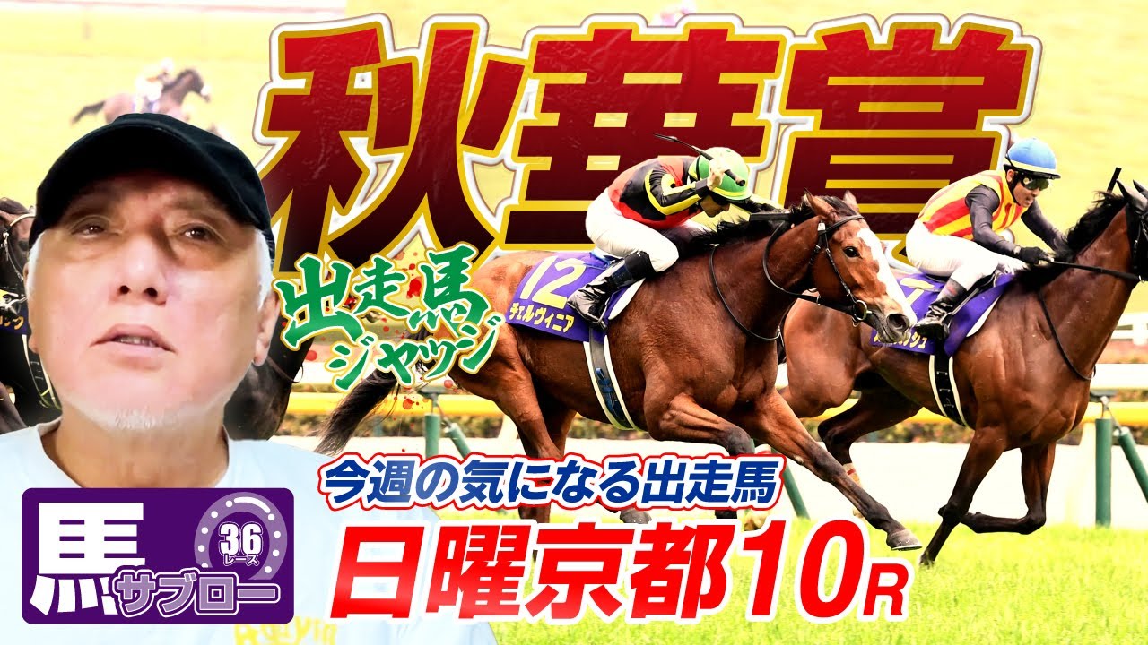 【秋華賞】出走馬ジャッジ