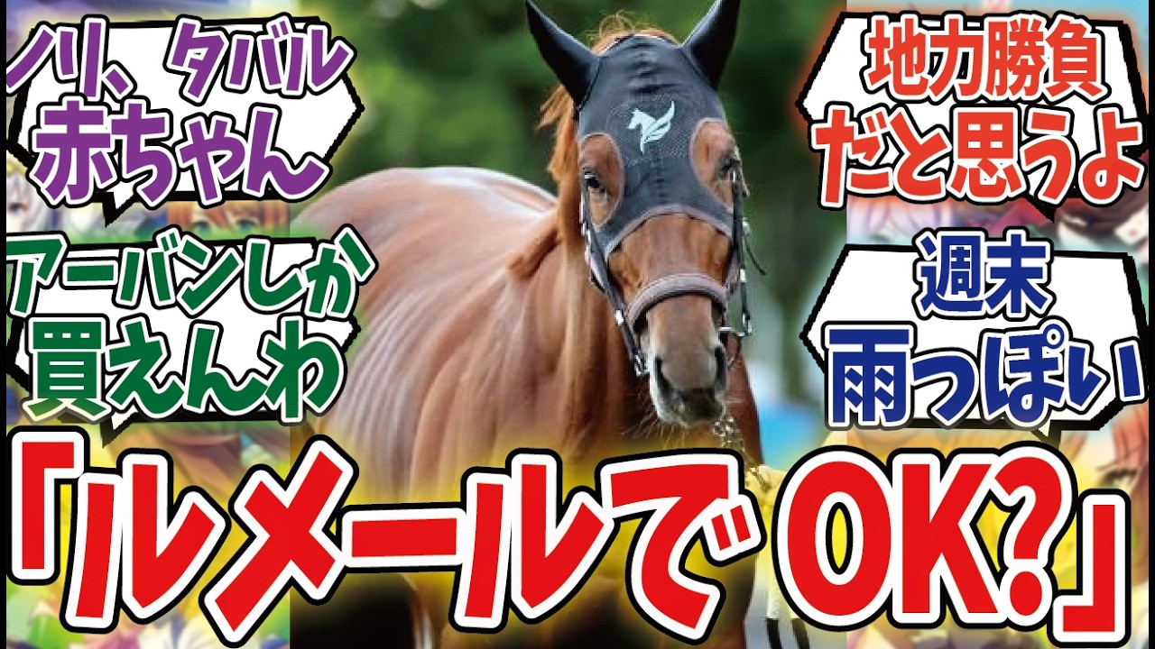 「来週の菊花賞も何もわかんねぇ」に対するみんなの反応集