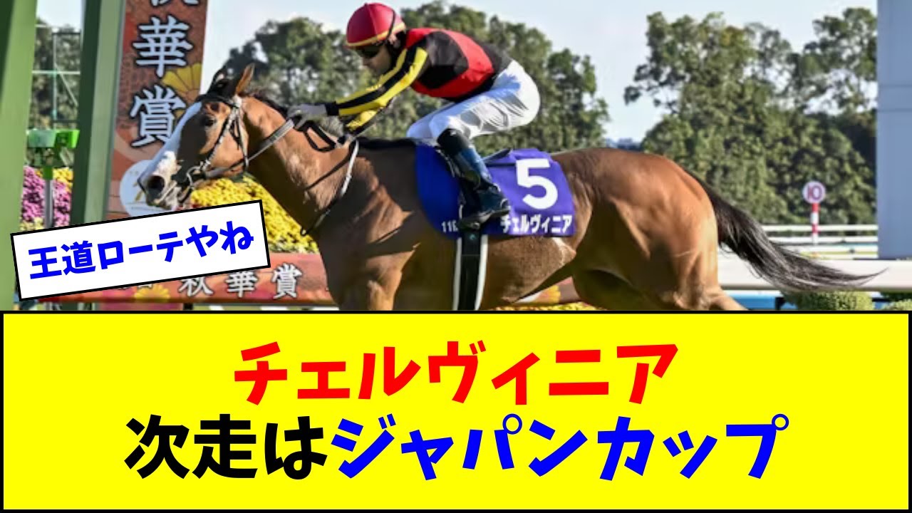 チェルヴィニア、次走はジャパンカップ！