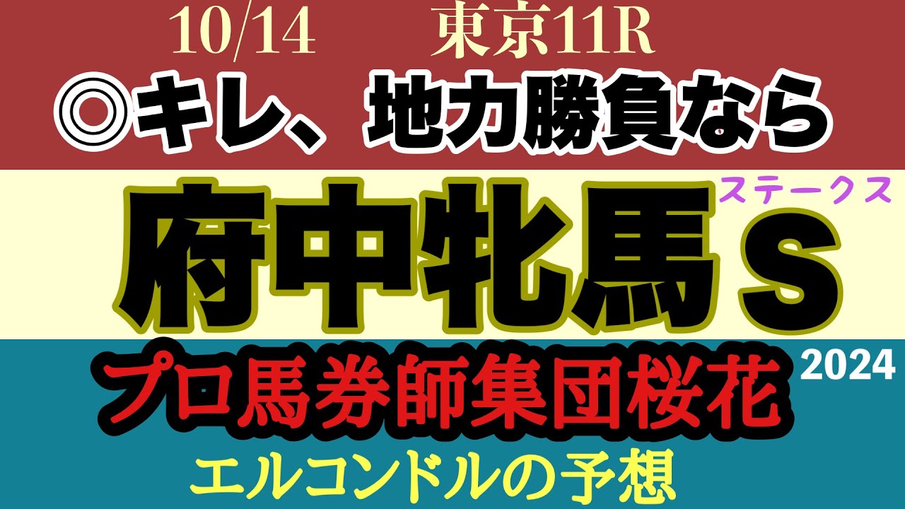 エルコンドル氏の府中牝馬ステークス2024予想！！東京の直線コースは馬の地力問われる！ブレイディヴェーグとマスクトディーヴァどちらか！それとも？