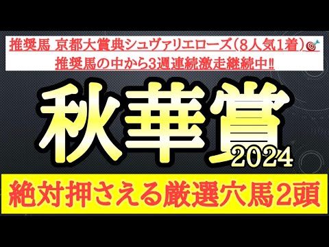 【秋華賞2024】厳選穴馬予想！良いパフォーマンスを見せていて今回の想定される馬場や展開が向きそうで一発の可能性を秘める2頭を公開！