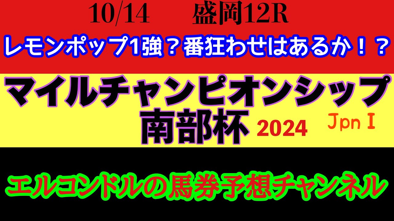 エルコンドル氏のマイルチャンピオンシップ南部杯2024予想！！G1は中央だけじゃない！明日はダートのビッグレース！レモンポップを負かす馬はいるか？！