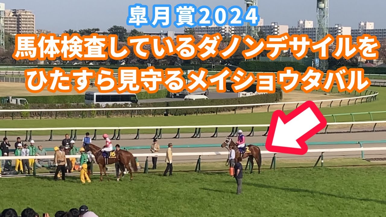 【皐月賞2024】ゲート前の馬体検査でダノンデサイルをひたすら見守るメイショウタバル。　#皐月賞　#メイショウタバル　#ダノンデサイル