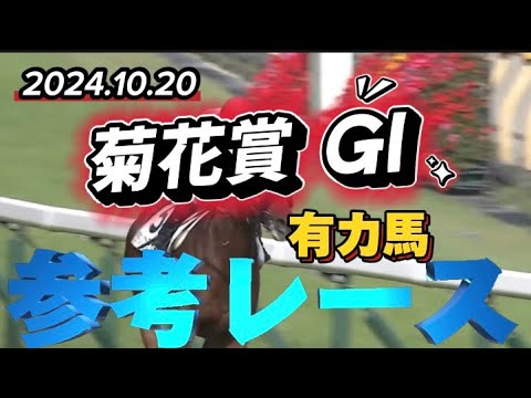 2024菊花賞有力馬参考レース