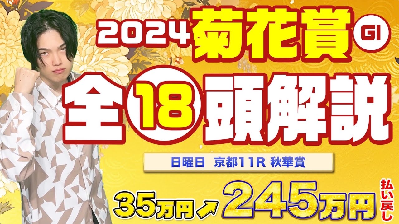 【2024 菊花賞】秋華賞245万円払い戻し！G1連勝中のkotaが混戦の菊花賞も18頭完全解説！！