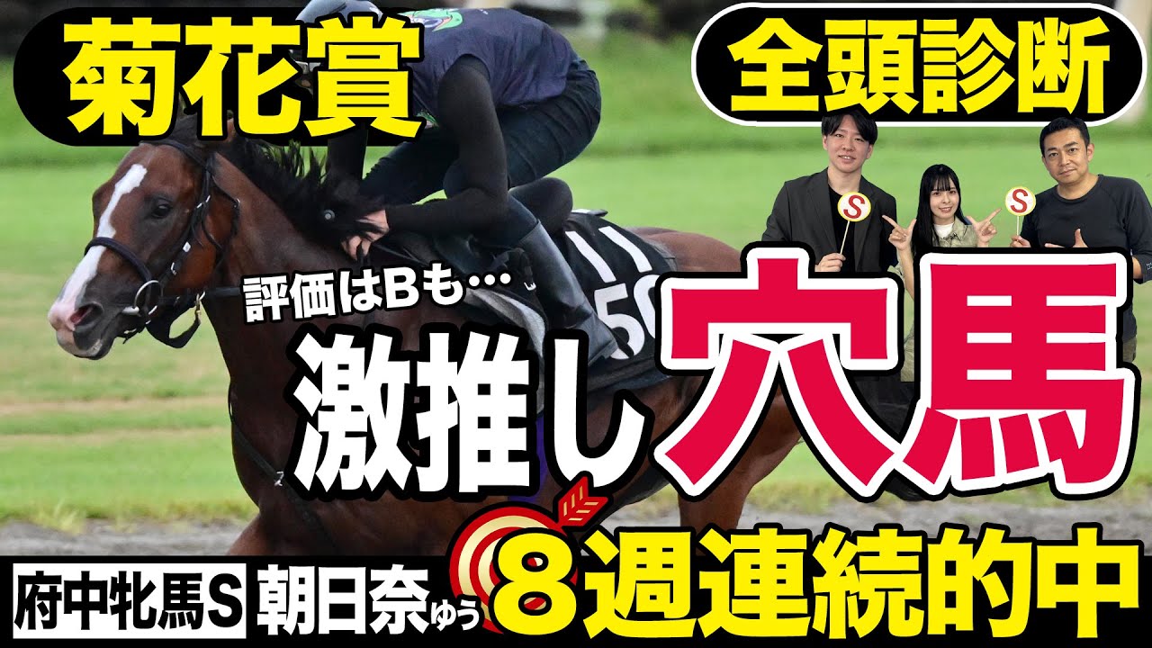 【菊花賞2024】東スポ荒井記者が評価はBでも絶対馬券に入れたいＳ級馬とは！？番組ＭＣ朝日奈ゆう８週連続馬券的中達成！！《東スポ競馬》