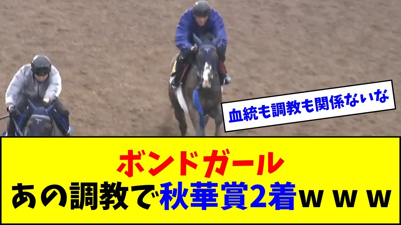 ボンドガール、あの最終追い切り→秋華賞2着好走w w w