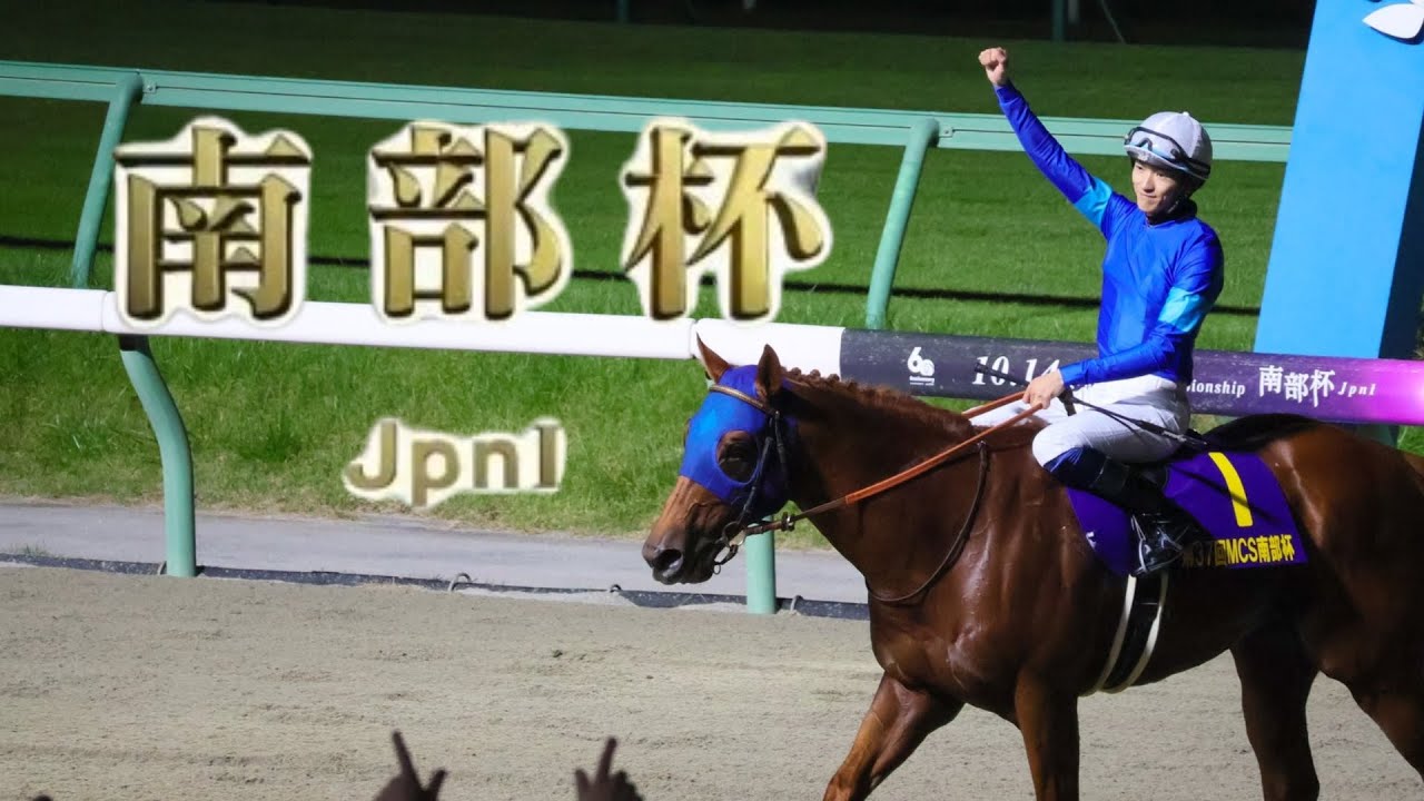 【競馬】2024年 第37回マイルチャンピオンシップ南部杯(JpnⅠ)【レモンポップ / 坂井瑠星】