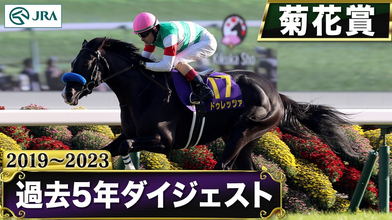 【過去5年】菊花賞 2019～2023｜JRA公式