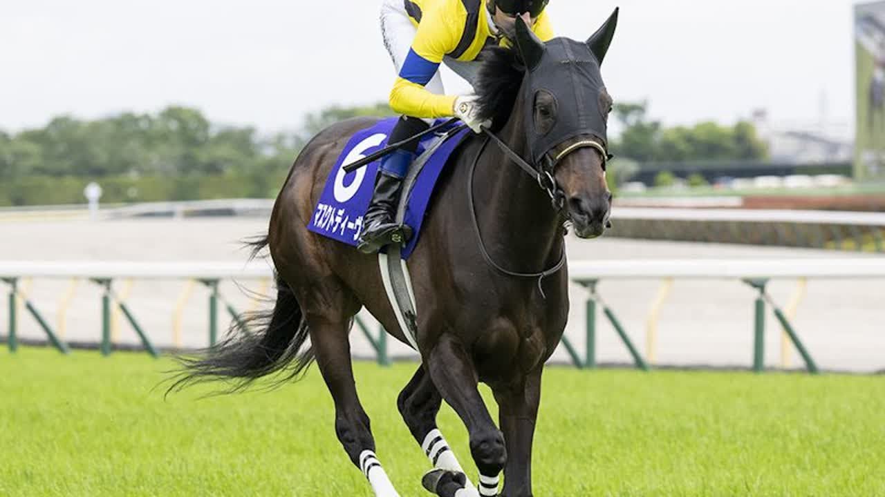 【府中牝馬Ｓ2024】有名人の予想に乗ろう！　エリザベス女王杯につながる注目の一戦！あの人の見解は！？｜競馬ニュース｜競馬予想のウマニティ