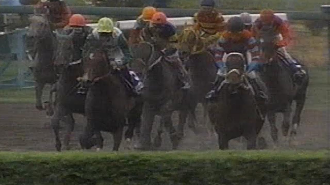 メジロファラオ 1999年(平成11年)第1回中山グランドジャンプ(J.G1)
