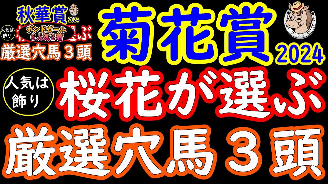 菊花賞2024桜花が選ぶ厳選穴馬３頭！長距離戦は紛れも多くなりどの馬にもチャンス到来！京都コース特有の３コーナー下り坂を利用できることで息を吹き返す馬がいることに着目！