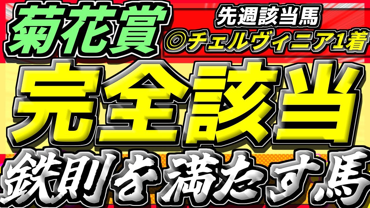 【菊花賞2024】ダノンデサイルじゃない。歴史から買える『鉄則を満たす馬』がいる【歴史馬】