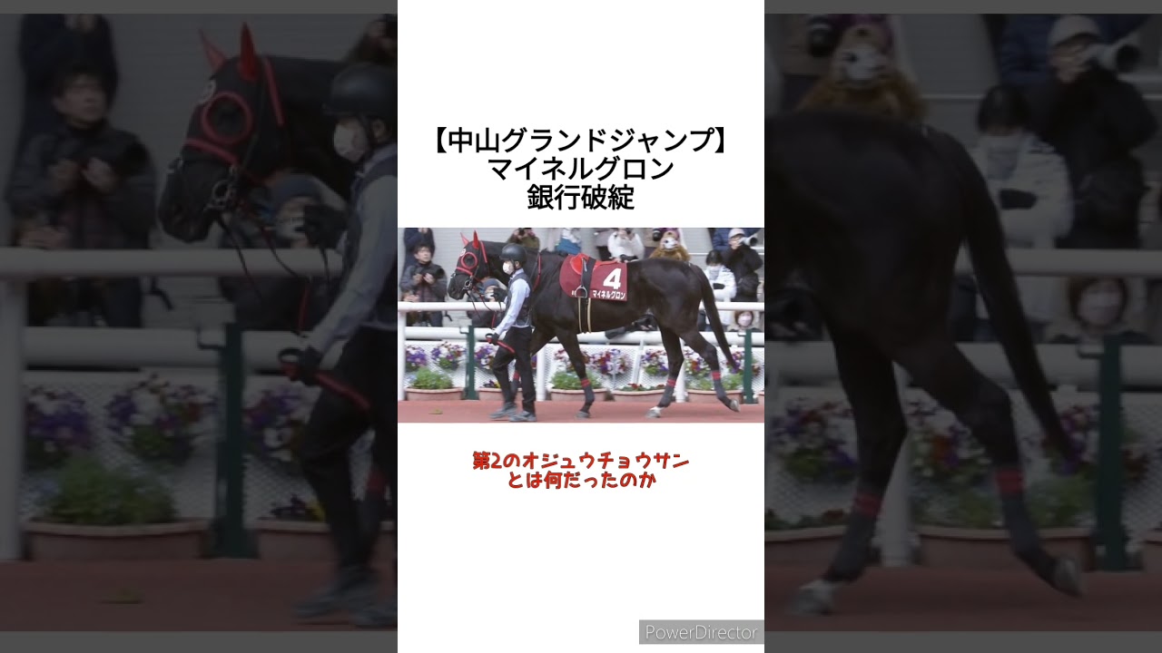 【中山グランドジャンプ2024】1.1倍マイネルグロン銀行破綻　 #競馬