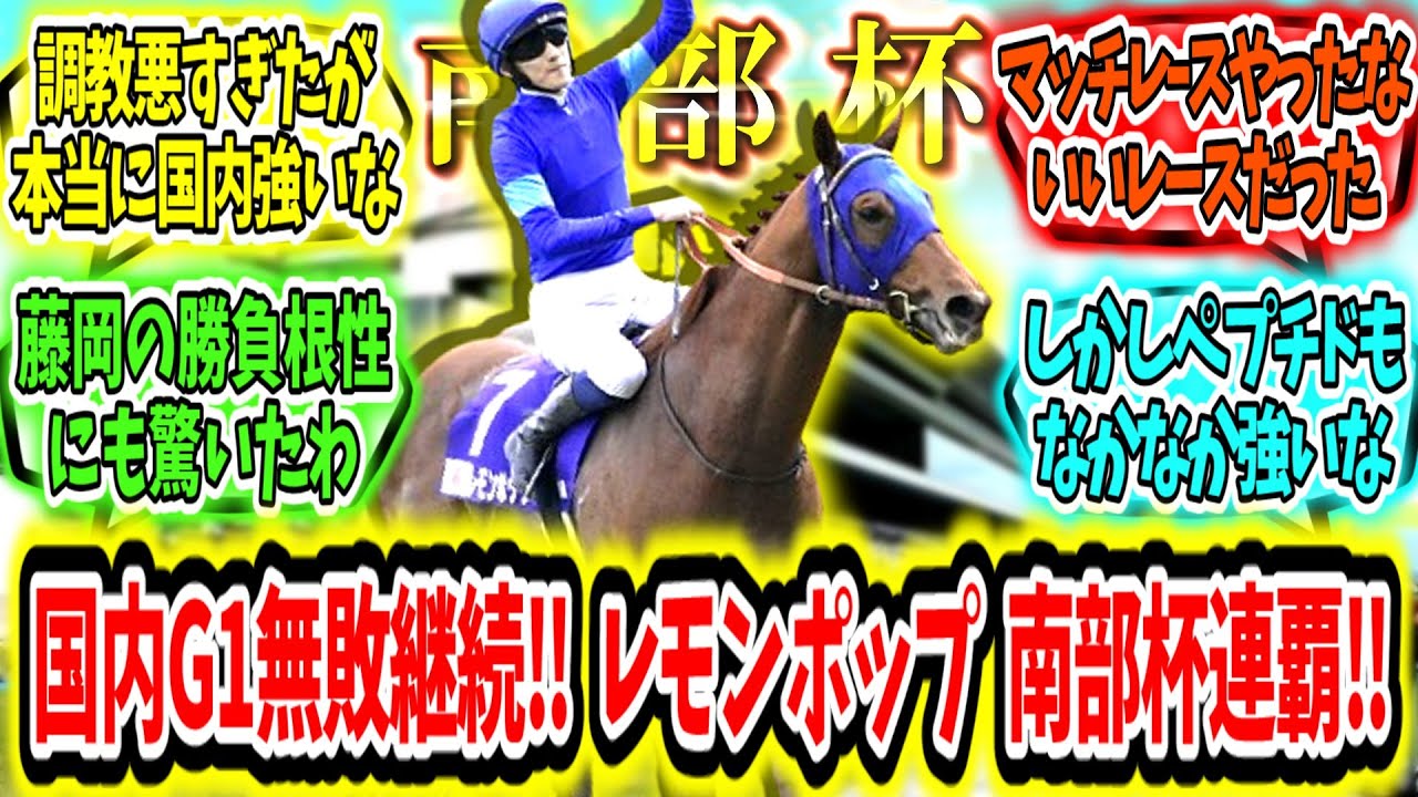 『国内G1未だ無敗！レモンポップ  マイルCS南部杯連覇アァ‼』に対するみんなの反応【競馬の反応集】