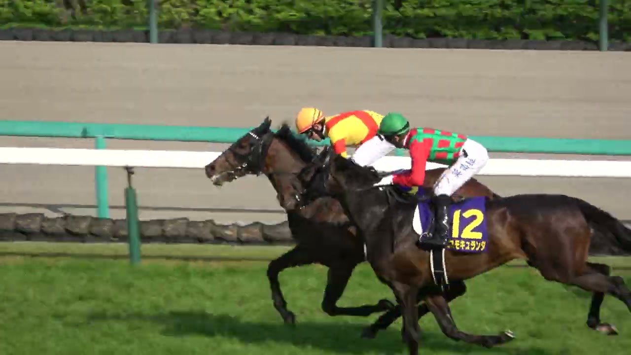 【皐月賞2024】 藤岡康太騎手が後押し‼レコード勝ち ジャスティンミラノのウィニングラン 現地映像