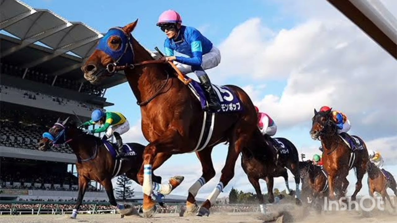 チャンピオンズカップの外国馬予備登録発表　アメリカから６頭がエントリー