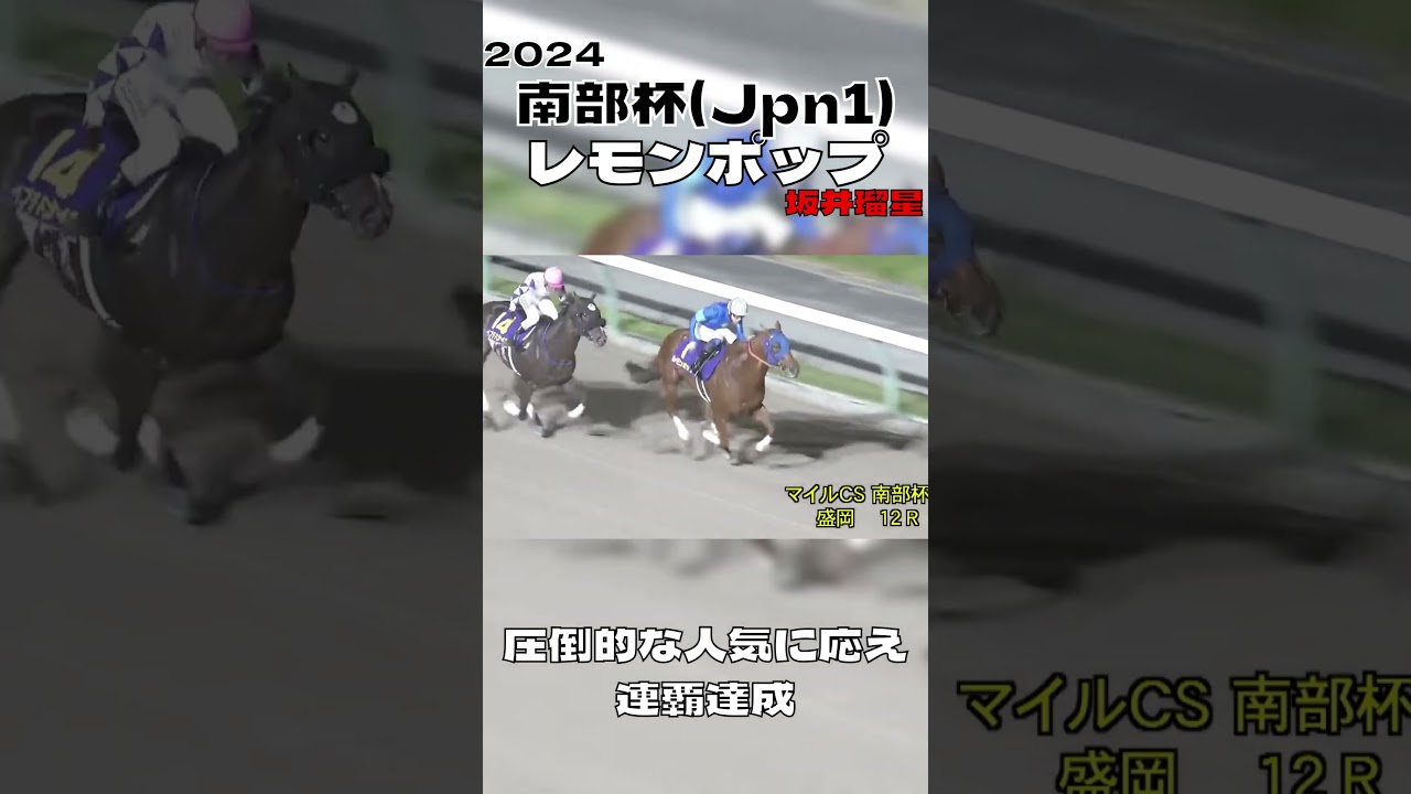 マイルチャンピオンシップ南部杯 レモンポップ 井瑠星 連覇 2024#shorts