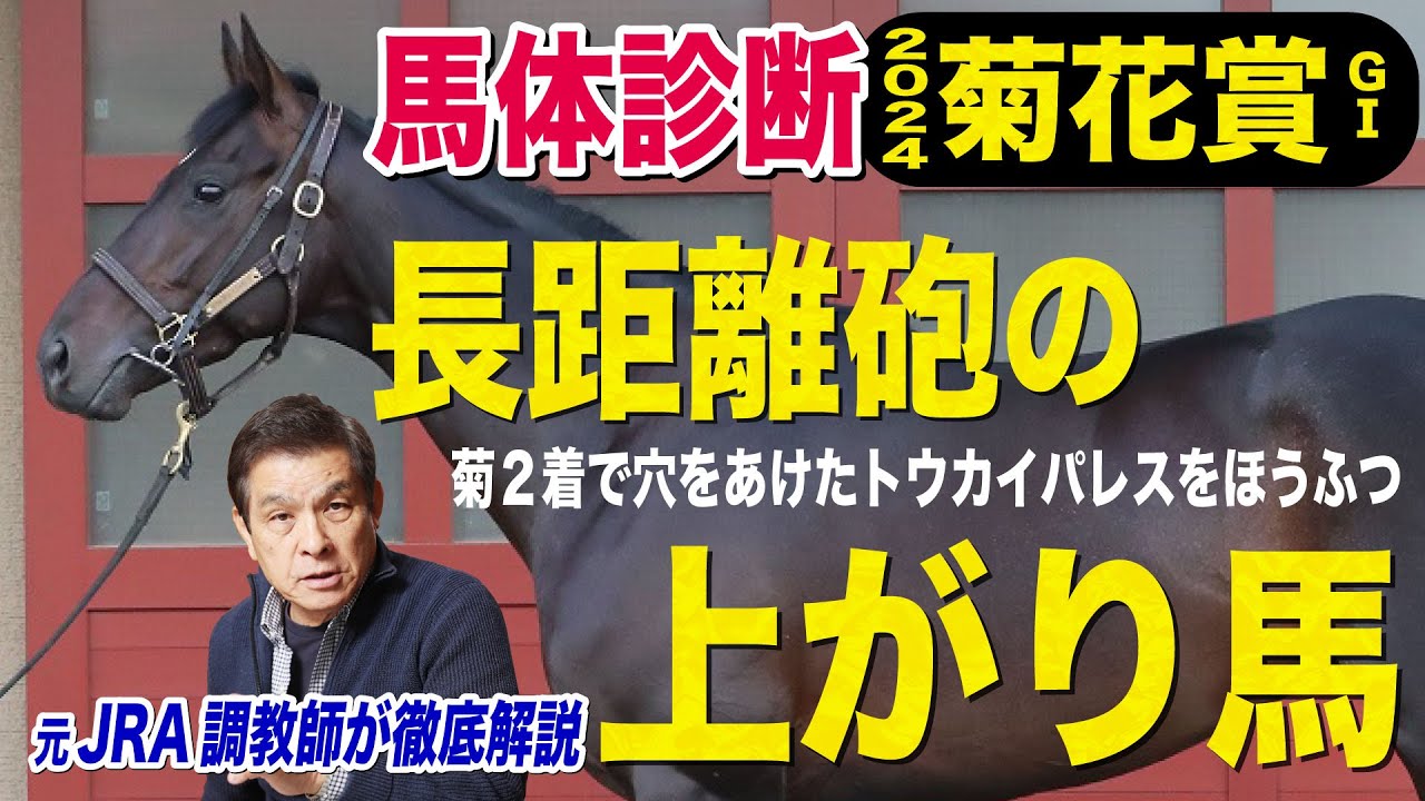 【菊花賞2024】中村均元調教師が馬体診断ベスト５を発表！長丁場にピッタリな馬体はこの馬《東スポ競馬ニュース》
