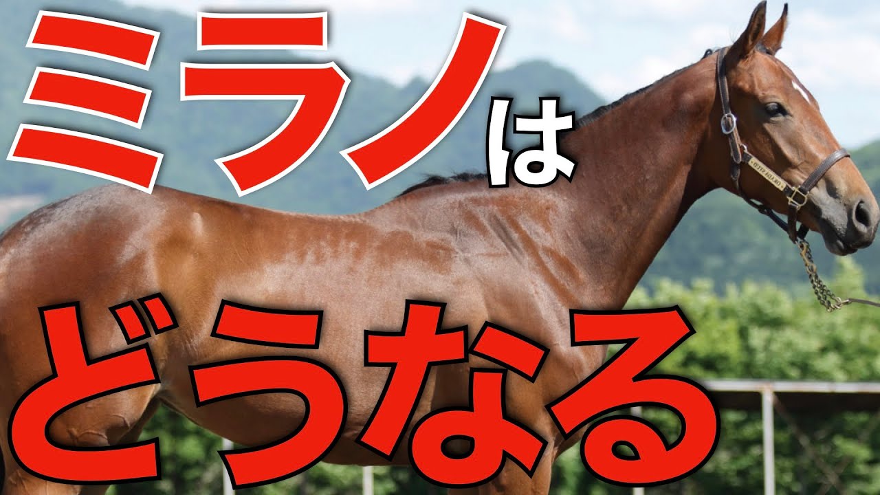 皐月賞馬ジャスティンミラノの今後はどうなる？早期引退から社台SS入りの可能性。