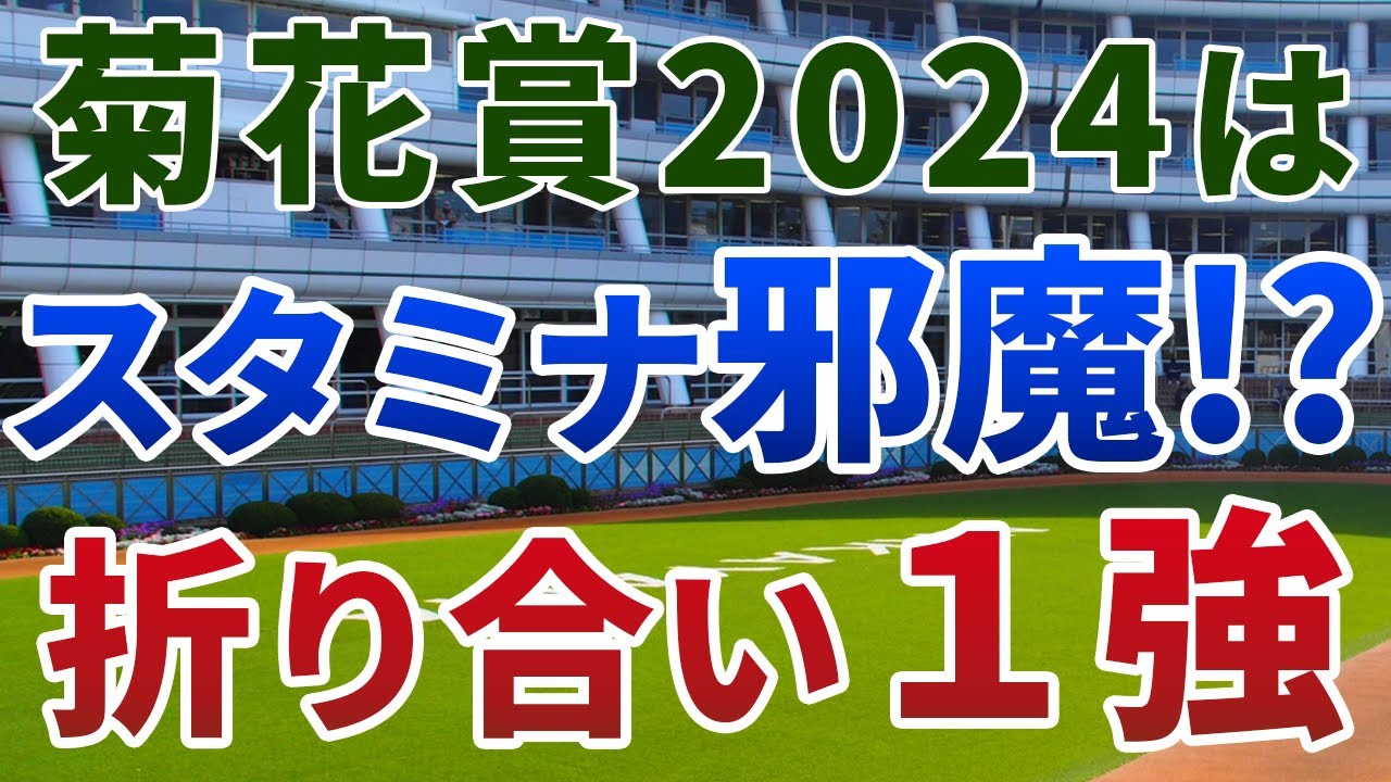 菊花賞2024【絶対軸1頭】公開！長距離戦なのに京都の菊はスタミナいらず？ダノンデサイルを打ち負かす１強馬を発表！
