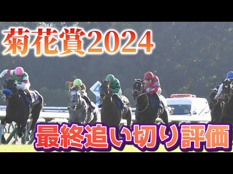 菊花賞2024 最終追い切り評価