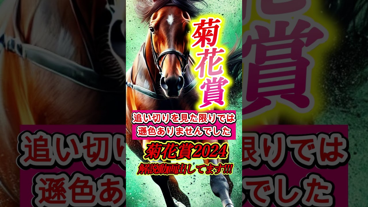 【菊花賞2024】【予想】菊花賞2024に向けての雑談 #Shorts #菊花賞2024 #菊花賞