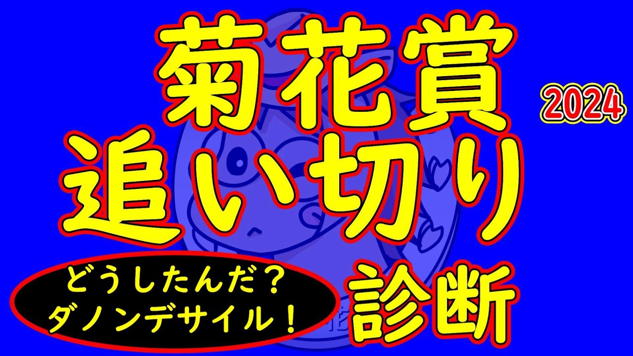 菊花賞2024追い切り診断！ダノンデサイルどうした？アーバンシックの調教状態は？コスモキュランダやメイショウタバルなどの評価をどう考える？意外な馬のデキが良く見える！？