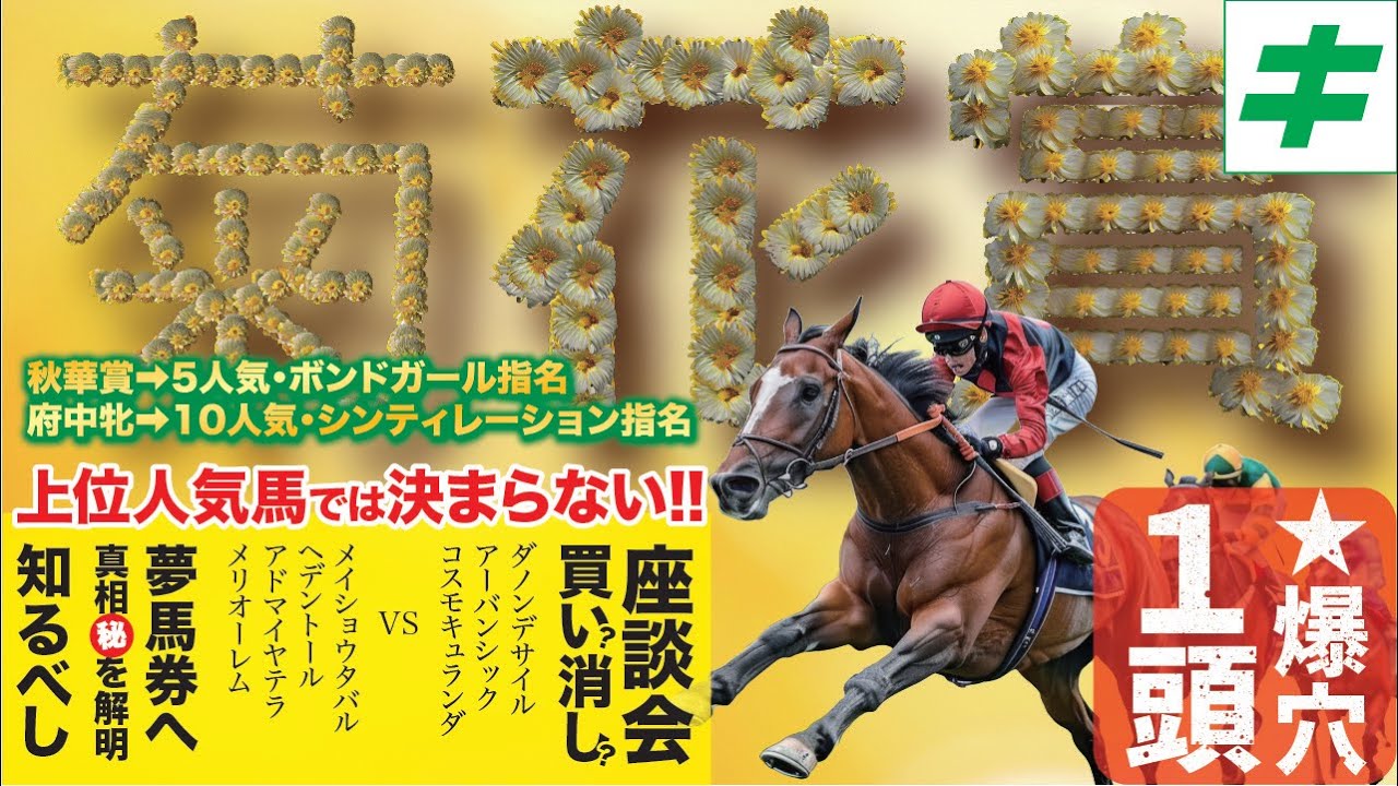 菊花賞 2024 【予想/穴馬】先週はボンドガールを指名！混戦だからこそ攻めの勝負！言われなきゃ買えない爆穴とは！？