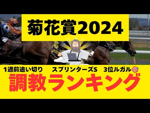 【菊花賞2024】🌈魂の1週前調教ランキング🌈
