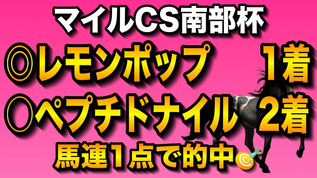 【マイルチャンピオンシップ南部杯2024最終結論】◎レモンポップ1着🎯