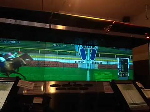 殿堂馬 天皇賞秋