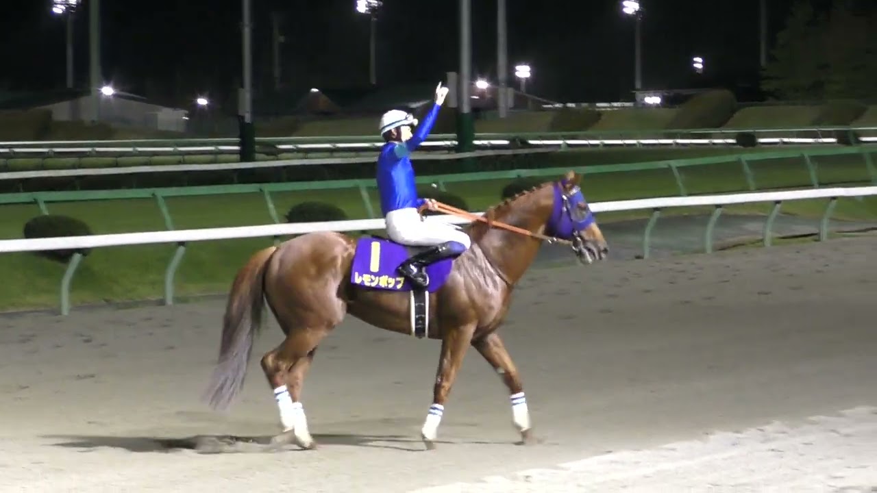 Road to JBC 第37回マイルチャンピオンシップ南部杯(Jpnl 盛岡ダ1600m)は前年覇者で単勝1.1倍の圧倒的1番人気JRA①レモンポップ(牡6 父Lemon Drop Kid)が2連覇
